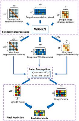 WLLP: A weighted reconstruction-based linear label propagation algorithm for predicting potential therapeutic agents for COVID-19